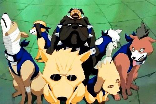 帕克最新爆料忍战奇拉比,帕克揭秘神秘忍者背后的惊人真相