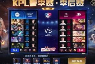 王者最新kpl皮肤爆料,王者峡谷再掀风云，神秘英雄华丽蜕变！